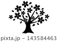 満開の桜の木のシルエット　モノクロ 143584463