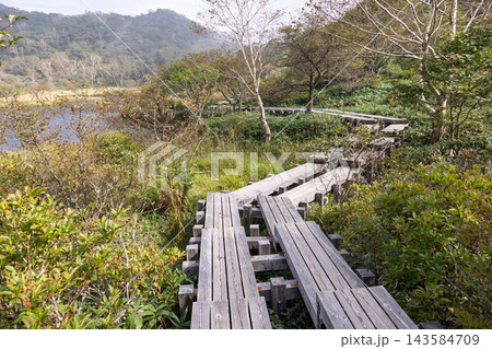 赤城山　覚満淵周辺の散策 143584709