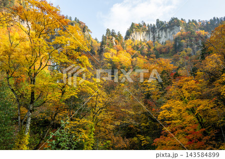 天人峡の紅葉 143584899