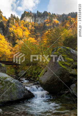天人峡の紅葉 天人峡の紅葉 143584910