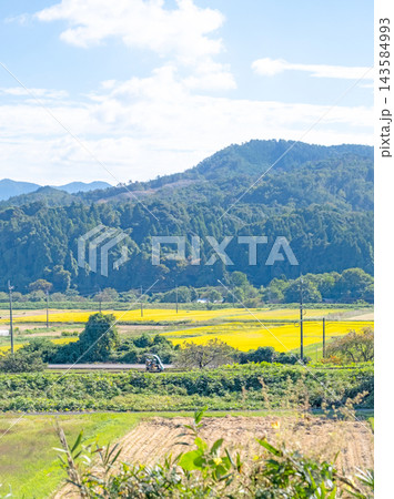 田園風景を走る軌道車 旧国鉄倉吉線 田園風景を走る軌道車 旧国鉄倉吉線 143584993