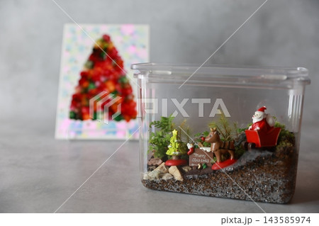 テラリュームでクリスマスイメージ 143585974