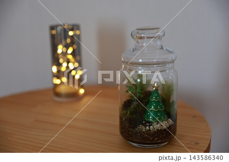 テラリュームでクリスマスイメージ 143586340