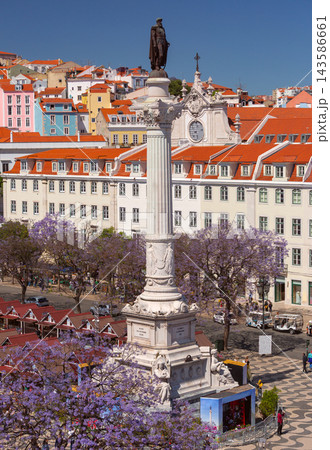 Pedro IV Monument and Blooming Jacarandas in Rossio Square, Lisbon, Portugal Pedro IV Monument and Blooming Jacarandas in Rossio Square, Lisbon, Portugal 143586661