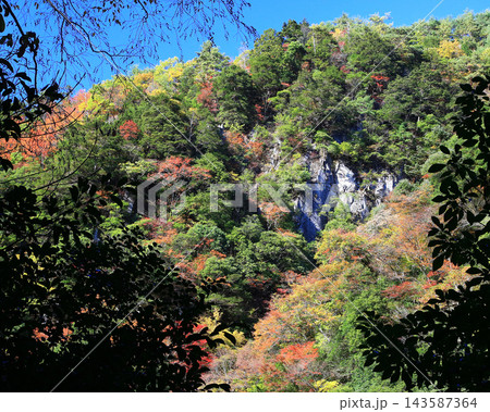 赤目四十八滝　紅葉　 143587364