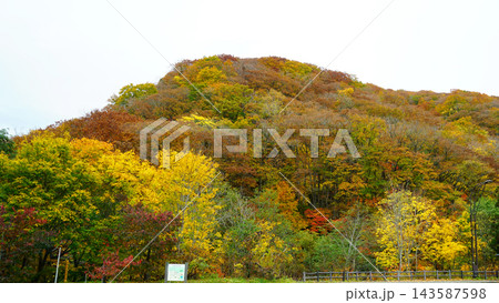 中野もみじ山 紅葉 中野もみじ山 紅葉 143587598