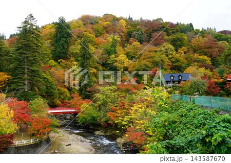 中野もみじ山 紅葉 中野もみじ山 紅葉 143587670