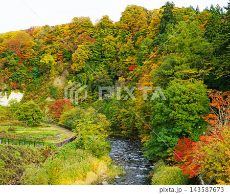 中野もみじ山 紅葉 中野もみじ山 紅葉 143587673