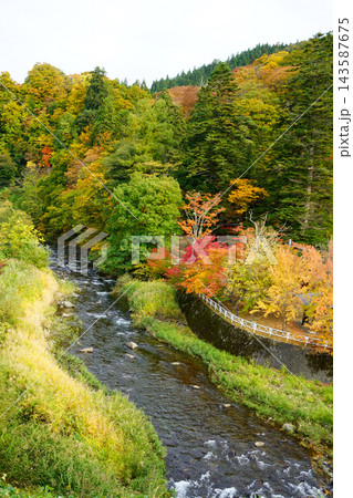 中野もみじ山 紅葉 中野もみじ山 紅葉 143587675