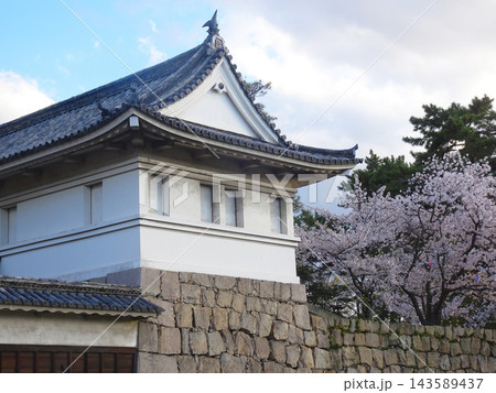 丸亀城 大手一の門（櫓門）と満開の桜 香川県丸亀市の史跡風景 143589437