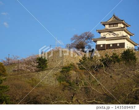 日本一の高石垣を誇る現存天守 丸亀城の美しい城郭風景(香川県丸亀市) 日本一の高石垣を誇る現存天守 丸亀城の美しい城郭風景(香川県丸亀市) 143589497