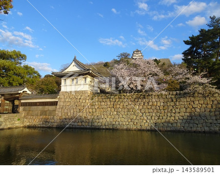 美しい城郭建築 丸亀城の内堀と土塀・石垣・現存天守の風景(香川県丸亀市) 美しい城郭建築 丸亀城の内堀と土塀・石垣・現存天守の風景(香川県丸亀市) 143589501