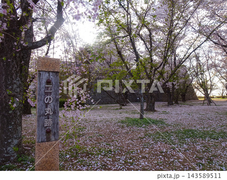 桜舞い散る丸亀城二の丸跡 地面を彩るピンクの桜絨毯と石垣（香川県丸亀市） 143589511