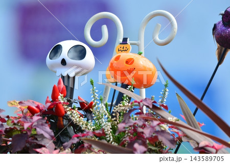ハロウィンの素材 143589705