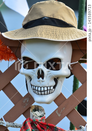 ハロウィンの素材 ハロウィンの素材 143589713