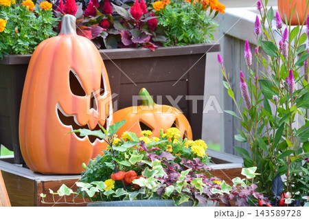 ハロウィンの素材 ハロウィンの素材 143589728