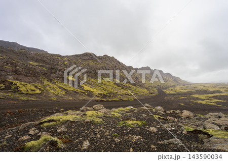 Vigdisarvallavegur road through volcanic landscape in Iceland 143590034