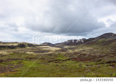 Volcanic landscape with green moss in Iceland 143590050