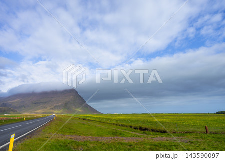 Scenic asphalt road through green fields in Iceland 143590097