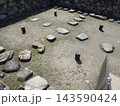 高松城跡（玉藻公園）天守台の礎石遺構と満開の桜（香川県高松市） 143590424