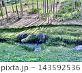 緑いっぱいの間の小川 143592536