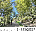 竹林を歩く人 143592537
