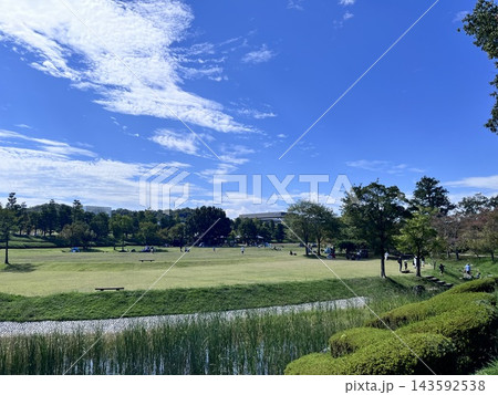爽やかな青空と公園の風景 143592538