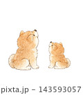 後ろ姿の犬の親子のカラーイラスト 143593057