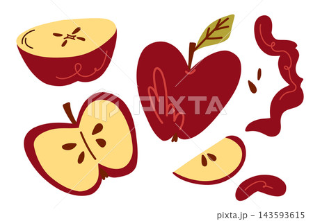 Red Apples, Apple Slices and Seeds in a Bold Hand Drawn Fruit Illustration, Sweet Autumn Food Artwork for Recipe Books, Healthy Eating Projects, Food Packaging, Posters and Seasonal Design 143593615