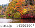 秋の雲場池　水面に映る紅葉 143593907