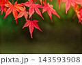 秋の雲場池　水面に映る紅葉 143593908