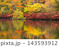 秋の雲場池　水面に映る紅葉 143593912