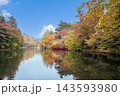秋の雲場池　紅葉した木々と池 143593980
