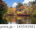 秋の雲場池　紅葉した木々と池 143593981
