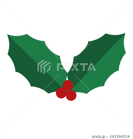 赤い実とギザギザの緑の葉が特徴的なクリスマスのヒイラギのイラスト    143594524