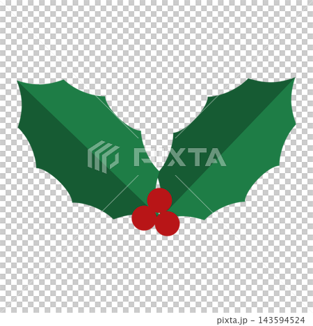 赤い実とギザギザの緑の葉が特徴的なクリスマスのヒイラギのイラスト    143594524
