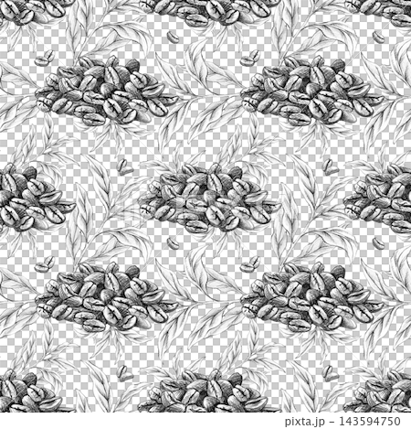 Roasted coffee beans with leaves seamless pattern. Hand-drawn graphite pencil branches illustration isolated graphic design on white background. Botanical detailed sketch, monochrome vintage style Roasted coffee beans with leaves seamless pattern. Hand-drawn graphite pencil branches illustration isolated graphic design on white background. Botanical detailed sketch, monochrome vintage style 143594750