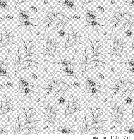 Coffee leaves branches Seamless pattern, coffee beans, hand-drawn in graphite pencil on white background. Monochrome botanical isolated illustration with vintage style for packaging, textile design Coffee leaves branches Seamless pattern, coffee beans, hand-drawn in graphite pencil on white background. Monochrome botanical isolated illustration with vintage style for packaging, textile design 143594751