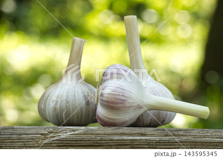 Fresh Garlic Bulbs on Rustic Wooden Table With Soft Green Bokeh Fresh Garlic Bulbs on Rustic Wooden Table With Soft Green Bokeh 143595345