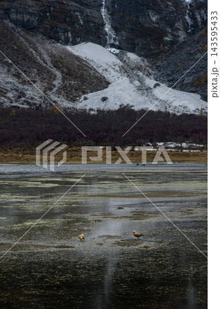 Yading Nature Reserve : Xiannairi and Pearl Sea Autumn Scenery in Daocheng Yading Scenic Area Sichuan Province China. Yading Nature Reserve : Xiannairi and Pearl Sea Autumn Scenery in Daocheng Yading Scenic Area Sichuan Province China. 143595433