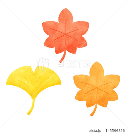 紅葉とイチョウの葉の手描き風イラストセット 紅葉とイチョウの葉の手描き風イラストセット 143596826