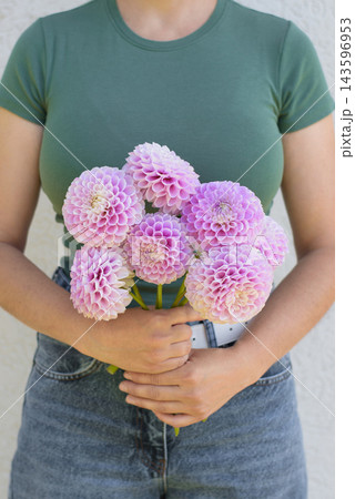 Person Holding Fresh Pink Snoho Sonia Dahlias 143596953