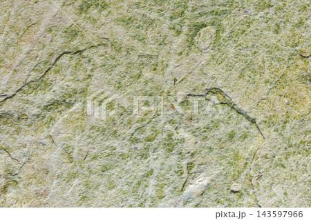 Green Algae Covered Rock Texture Background Green Algae Covered Rock Texture Background 143597966