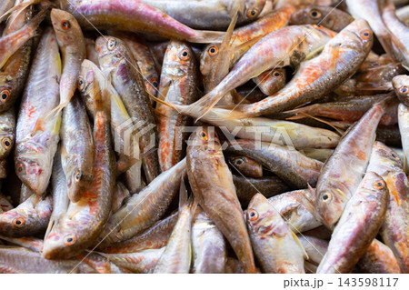 delicious fresh fish in the market 143598117