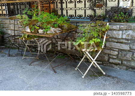 Green Garden flowers on Metal Chairs Overgrown with Moss and Plants Green Garden flowers on Metal Chairs Overgrown with Moss and Plants 143598773