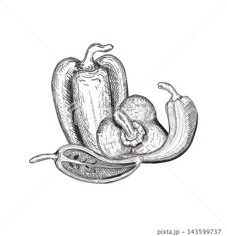 Hand drawn ink bell and chili pepper composition. Illustration of food isolated on white background. Can be used for card, label, and package or menu design Hand drawn ink bell and chili pepper composition. Illustration of food isolated on white background. Can be used for card, label, and package or menu design 143599737