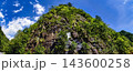 BLUE & SOLID : GREEN WALL 143600258