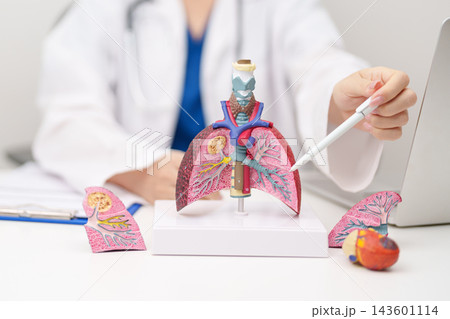 Doctor with Smoker and normal Lung anatomy for Disease. Lung Cancer, Asthma, Chronic Obstructive Pulmonary or COPD, Bronchitis, Emphysema, Cystic Fibrosis, Bronchiectasis, Pneumonia and world Lung day Doctor with Smoker and normal Lung anatomy for Disease. Lung Cancer, Asthma, Chronic Obstructive Pulmonary or COPD, Bronchitis, Emphysema, Cystic Fibrosis, Bronchiectasis, Pneumonia and world Lung day 143601114