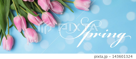 Beautiful pink tulips on light blue background, flat lay. Hello spring 143601324