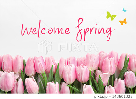 Beautiful pink tulips on white background. Hello spring Beautiful pink tulips on white background. Hello spring 143601325